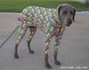 Why Dogs Hate Owners
