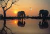 Dawn in Botswana