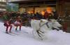 Reindeer Race