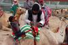 Robot Jockey in Camel Race, Kuwait