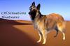 DOGS