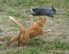 Who's faster?