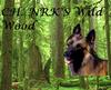 DOGS