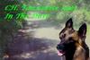 DOGS
