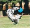 good catch