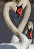 Happy Valentine's Day!!!