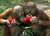 Happy Valentine's Day!!!