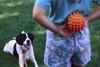 Throw it already!!!