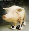 Moo Shoe Pork
