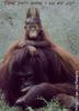 Think you're having a bad hair day!!!