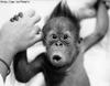 Bad hair day, too!!!