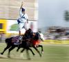 Standing on the running horses