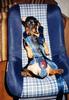 doggy seat