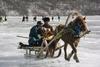 Horse Sled