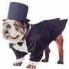 Gentledog