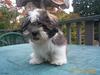 Buster