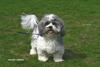 Buster