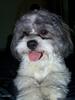 Buster
