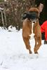 Snow run