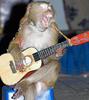 Rock on