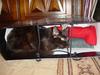 Hiding in an old bag !