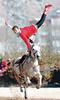 Horse Acrobat