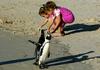 Twins and Jackass Penguins