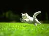Leaping Kitten