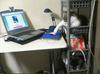 Cat & Mouse
