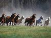 [Daily Photos] Roundup on the Ranch, Montana