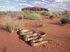 [Daily Photos] Woma Python, Uluru National Park, Australia