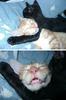 True Headlock