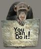You can do it!