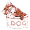 nap time