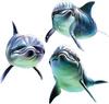 dolphin trio