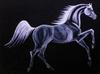 horses