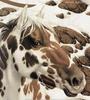 horses