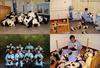 Pandas