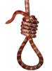 Knot