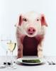 Hungry Pig