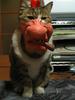Rascal Cat