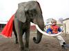 Elephant Swing