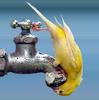 Thirsty