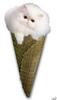 Cat Cone