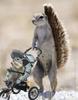 baby carriage