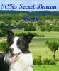 DOGS 2