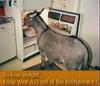 The Dawn Kee Diet