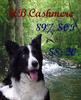 DOGS 2