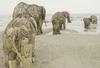 Wooden Elephants