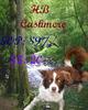 DOGS 2